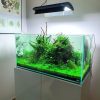 Customized Aquarium