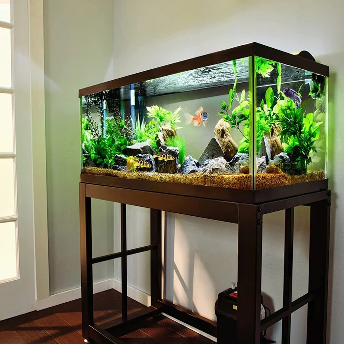 Fish Tanks