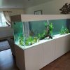 Imported Aquariums