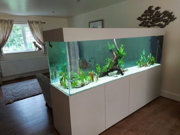 Imported Aquariums