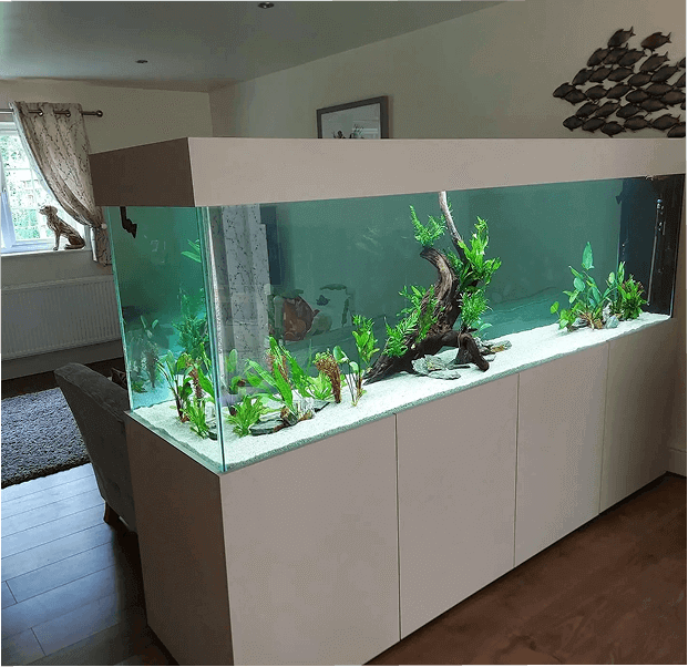 Imported-Aquariums...