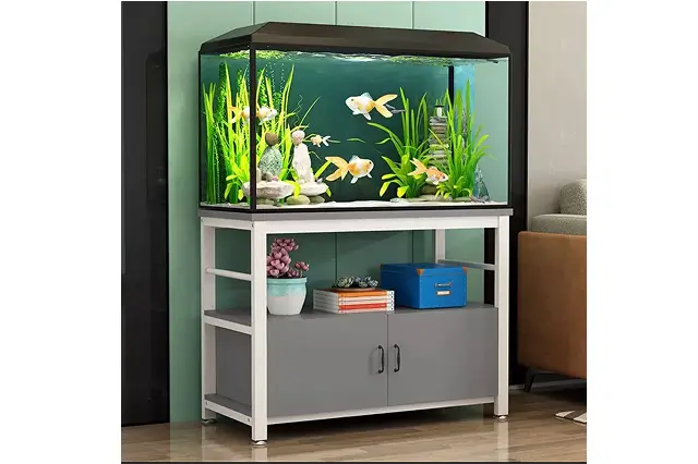customized-aquariums